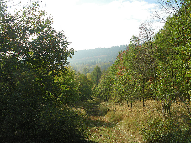 Herbstwanderung