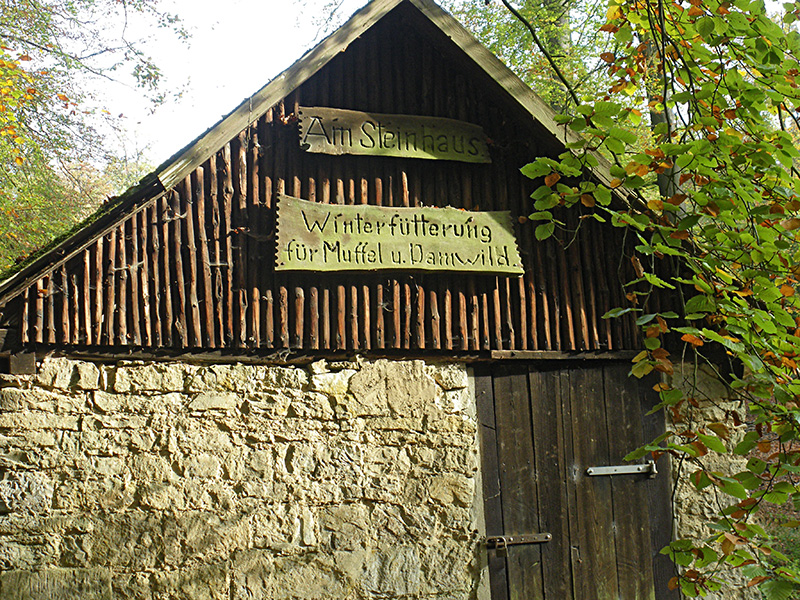 Herbstwanderung