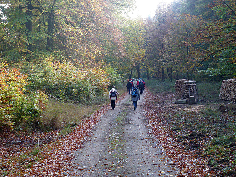 Herbstwanderung