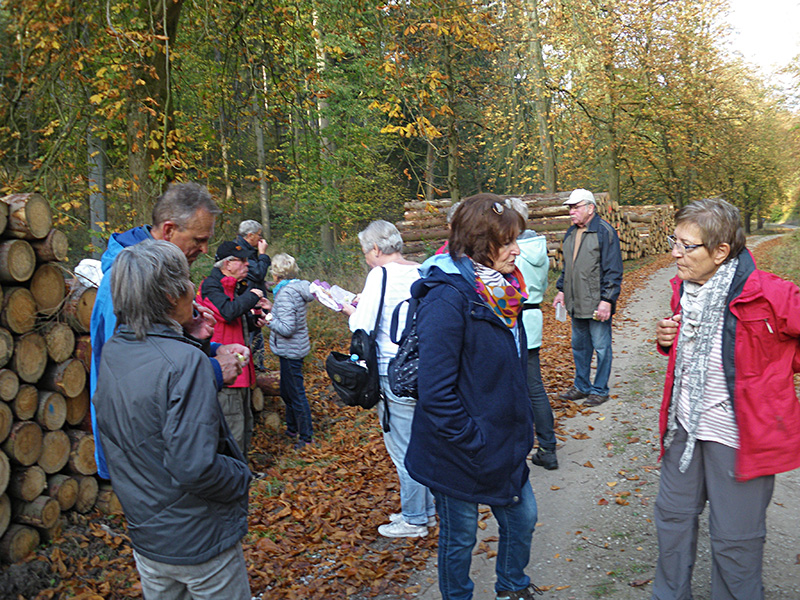 Herbstwanderung