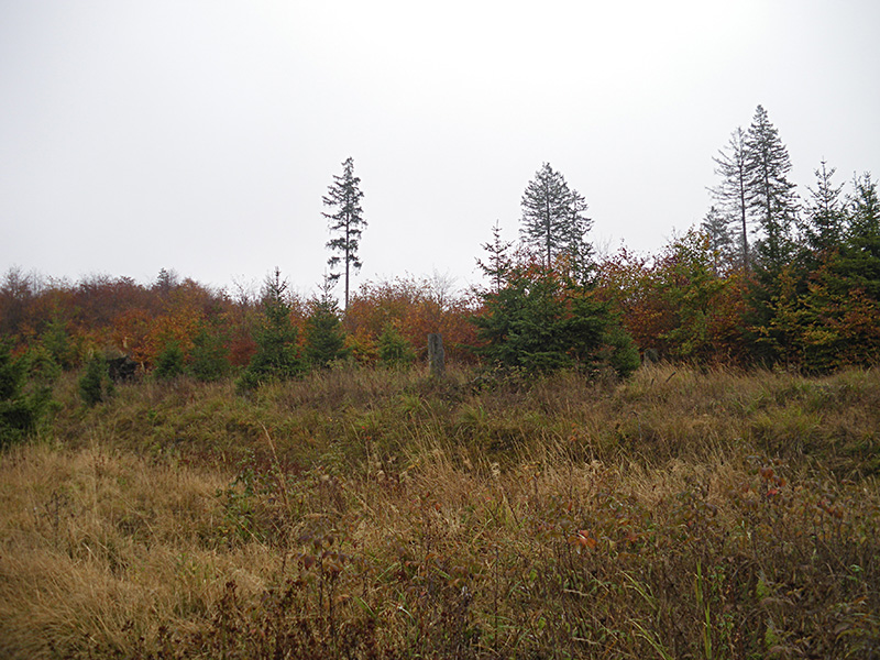 Herbstwanderung