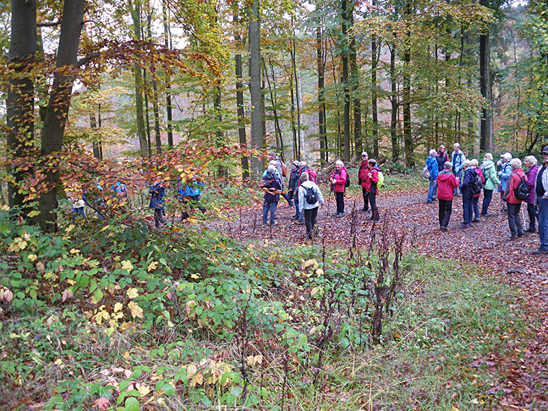 Herbstwanderung