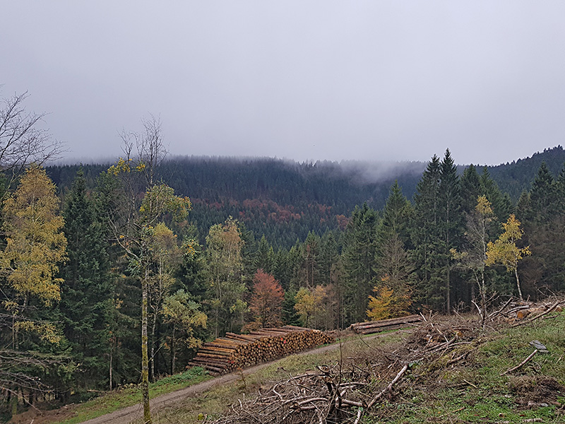 Herbstwanderung