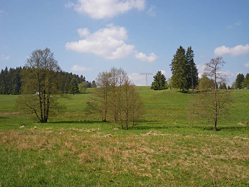 Frühjahrswanderung 2019