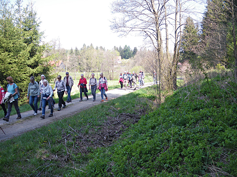 Frühjahrswanderung 2019