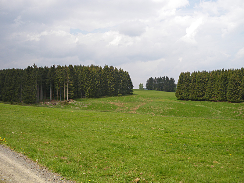 Frühjahrswanderung 2019