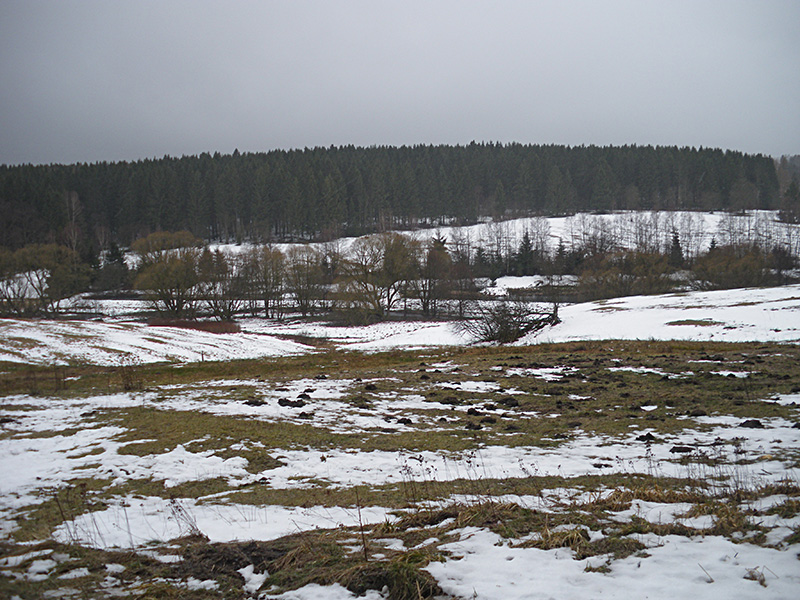 Winterwanderung 2020