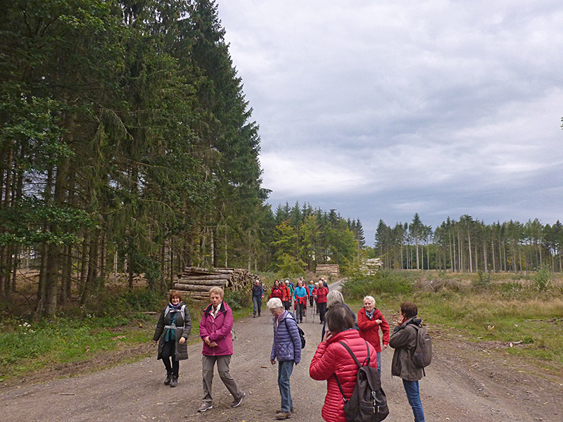 Herbstwanderung