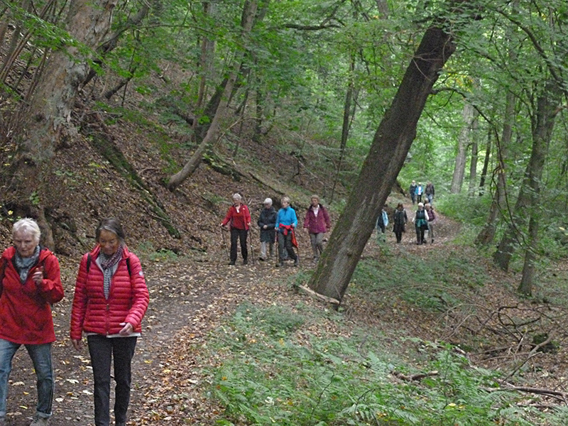 Herbstwanderung