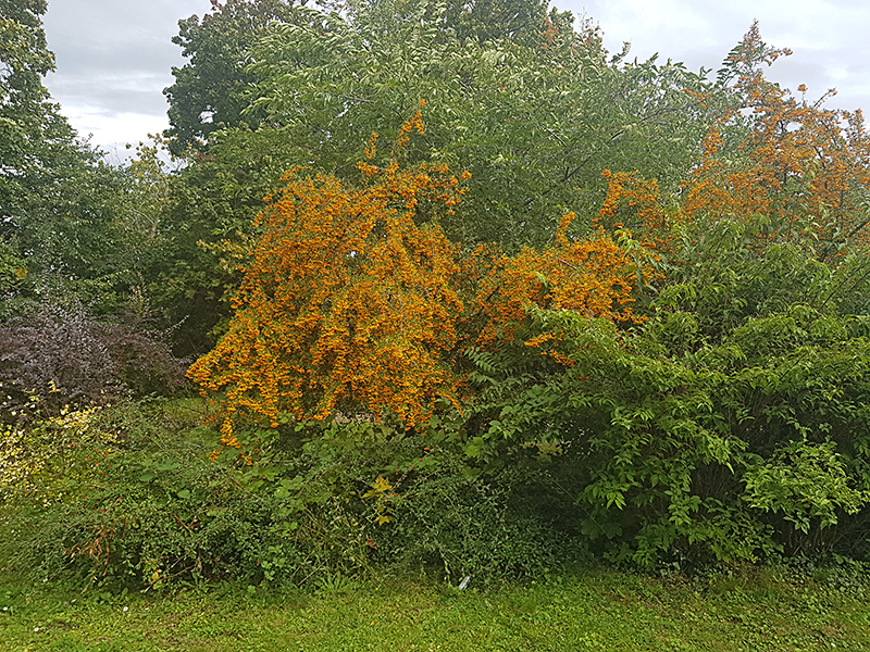 Herbstwanderung