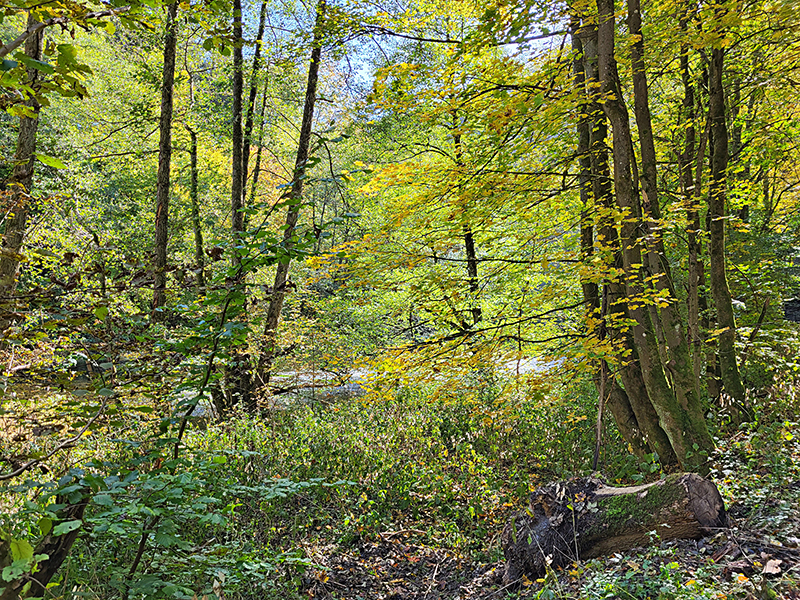 Herbstwanderung