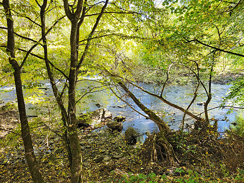 Herbstwanderung