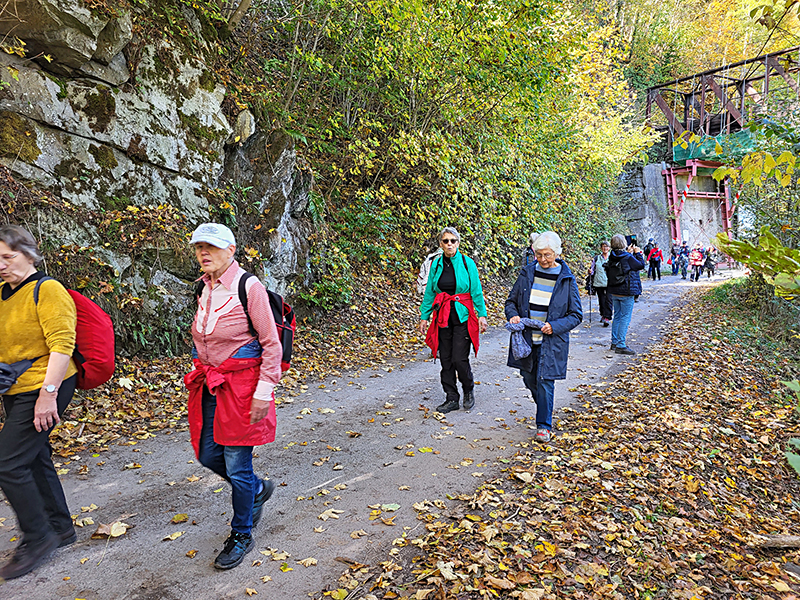 Herbstwanderung