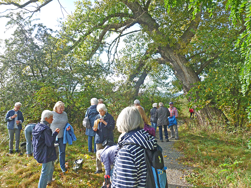 Herbstwanderung