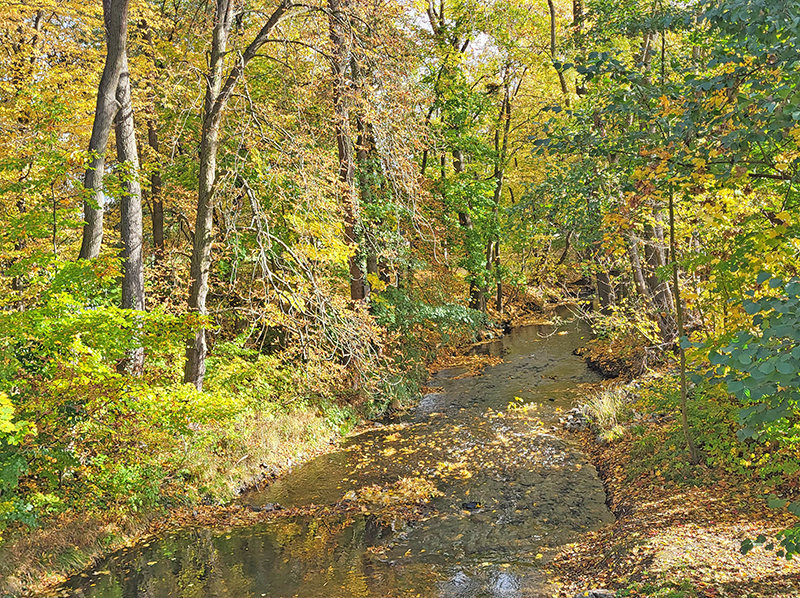 Herbstwanderung 2025