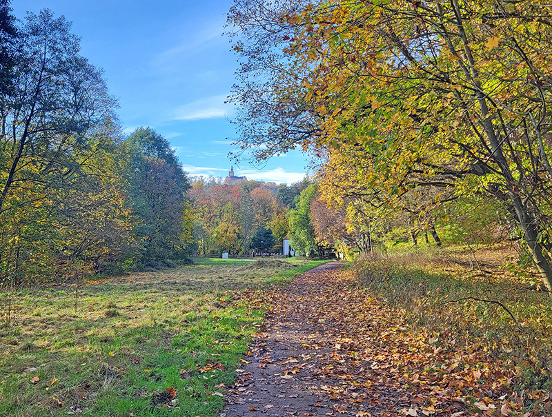 Herbstwanderung 2025
