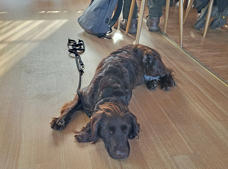 Herbstwanderung 2025